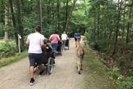 Thumbnail: Enso alpacawandeling 3