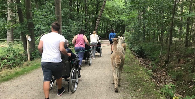 Enso alpacawandeling 3